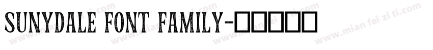 Sunydale Font Family字体转换